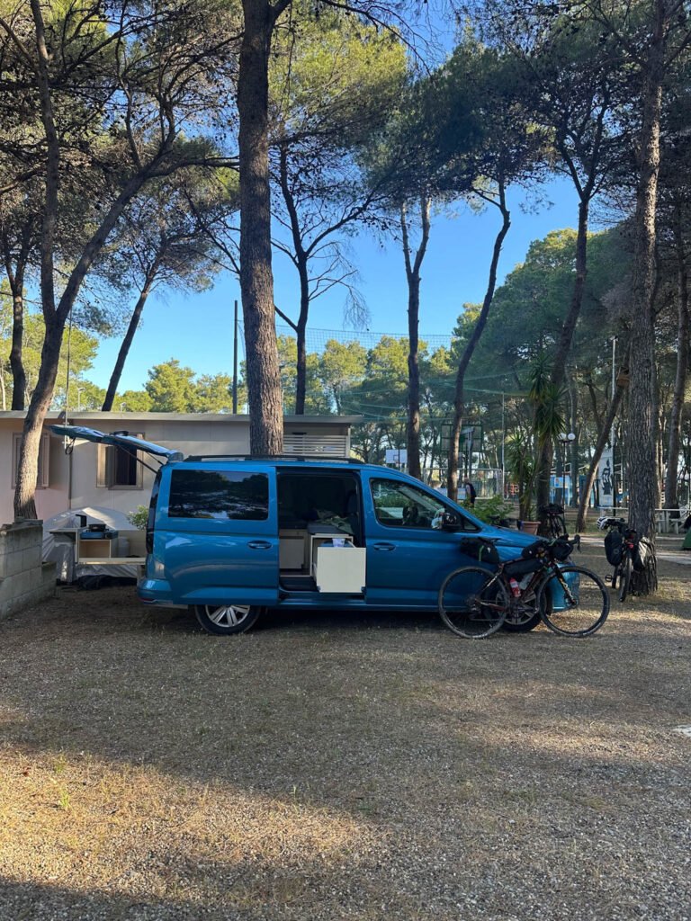 Candy Maxi di Federico (Bologna)