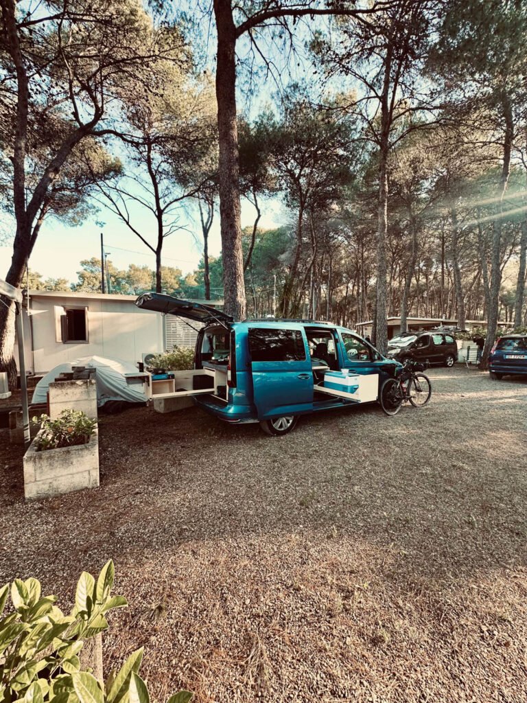 Candy Maxi di Federico (Bologna)